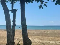 Macaw Paradise