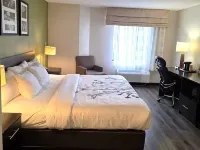 AUSTINBURG HOTEL by IHG - breakfast