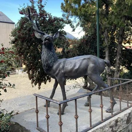 Apartament a la Molina, Grans Vistes, Llar de Foc