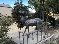 Apartament a la Molina, Grans Vistes, Llar de Foc