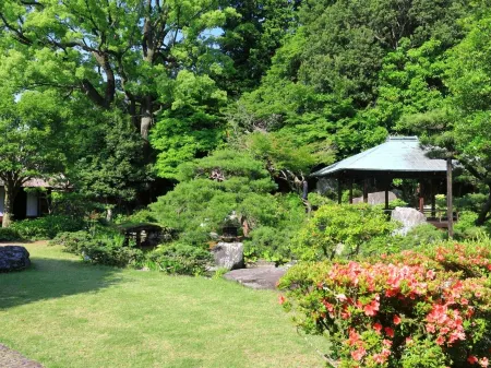 超級酒店-新居濱