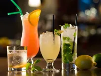 Tateyama Resort Hotel - bar