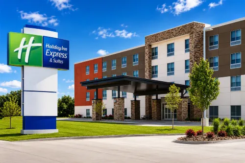 Holiday Inn Express & Suites LINDALE - TYLER by IHG - Gym