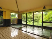 Tatsuta Ryokan Hotels near Joren Waterfall