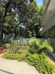 A mango tree stay - 2-Star