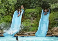 Zimbali Lodge by Dream Resorts - Beach