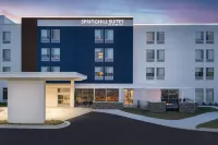 SpringHill Suites by Marriott Lexington Frankfort - Pools