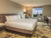 Hilton Garden Inn Pittsburgh Airport Hotels near Pittsburgh International Airport
