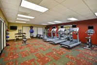 Courtyard Springfield - Gym
