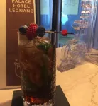 Palace Hotel Legnano - bar