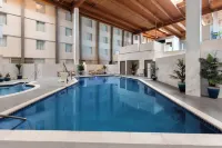 Ramada by Wyndham DFW Airport - Pools