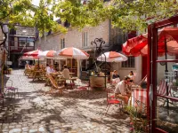 Mustard Hostel - 2-Star