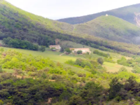 Le Cèdre