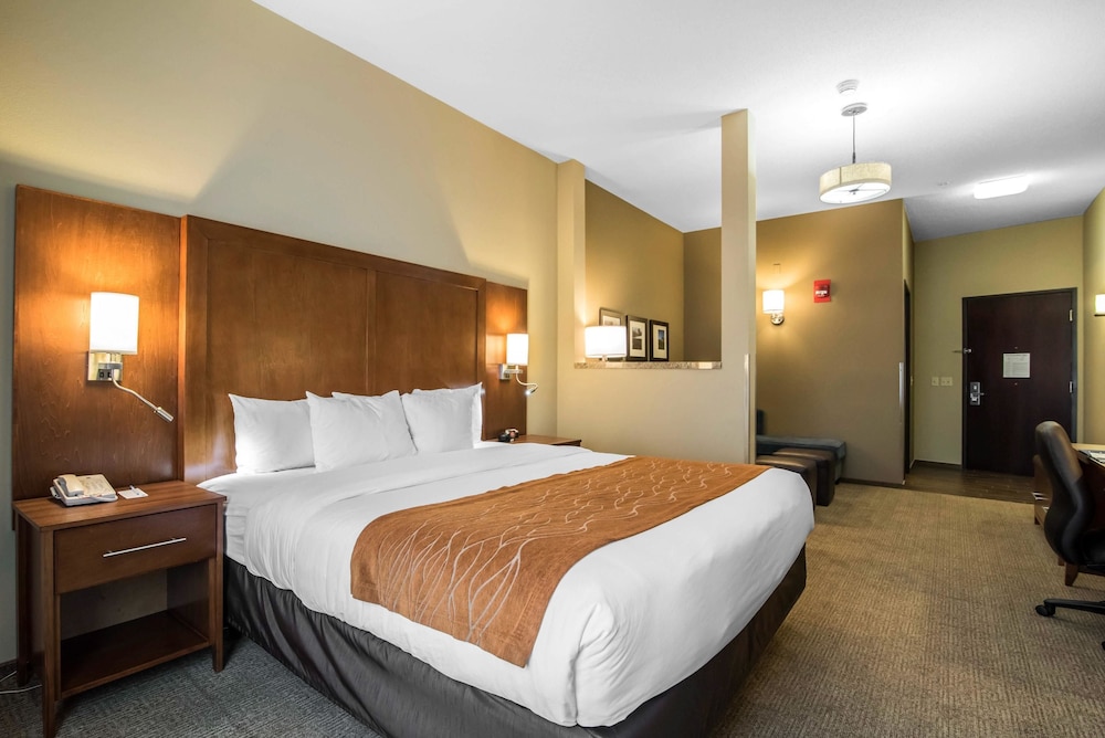 Comfort Inn & Suites Sayre