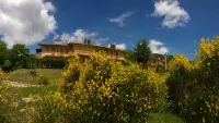 The Terrazze Apartment Carpino 24 Hotels near Oaks Park