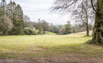 Cilrhiw Country House - Princes Gate