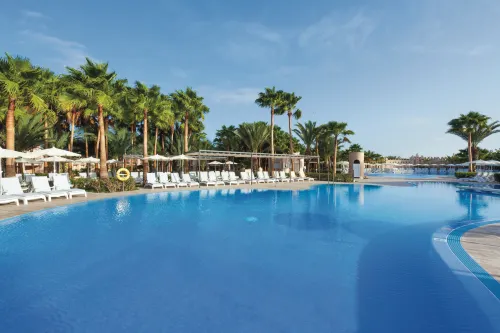 Hotel Riu Cabo Verde - All Inclusive Adults Only - bar