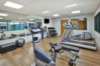 Holiday Inn Express & Suites ROCHESTER-VICTOR by IHG - Gym