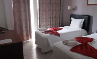 Beautiful Deluxe Double Room in the City Center - Wifi and AC