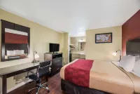 อีโคโนลอดจ์ I-40 ทางออก 286 โฮลบรุค