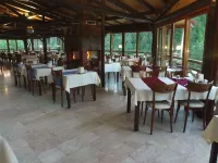 Abant Kartal Yuvasi Hotel Hotels in Dereceoren