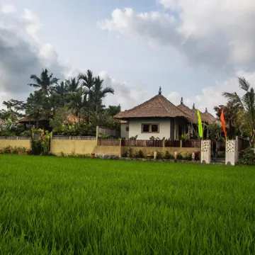 Ubud Luwih Nature Retreat