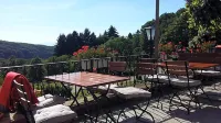 Landgasthof Grüner Baum فنادق في Sallneck