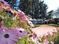 Gli Archi Country Home Hotels in Casamassella