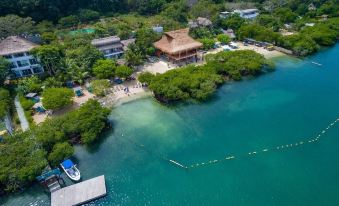 Aura Hotel Barú - Housity