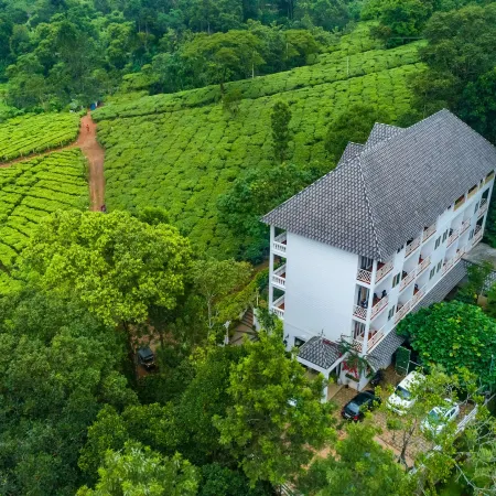 Tea Harvester