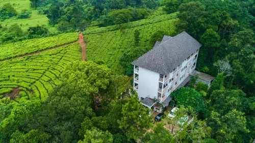 採茶機酒店