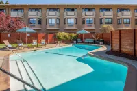 The Lodge at Tiburon - Pools