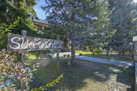 Il Nido di Elda Few Steps from Skiing - Happy Rentals