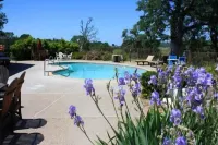 Shenandoah Inn, Major Credit Cards Required for Check IN Hotels in Sutter Creek