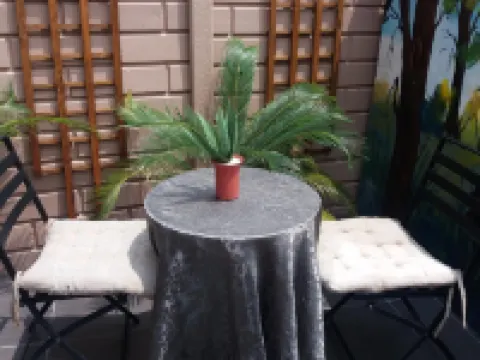 House on Morninghill Hotels in Germiston