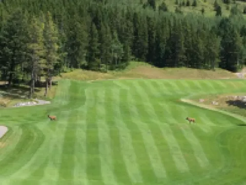 Chateau Elise Hotels in 