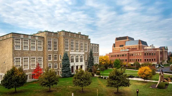 Hilton Garden Inn Albany Medical Center