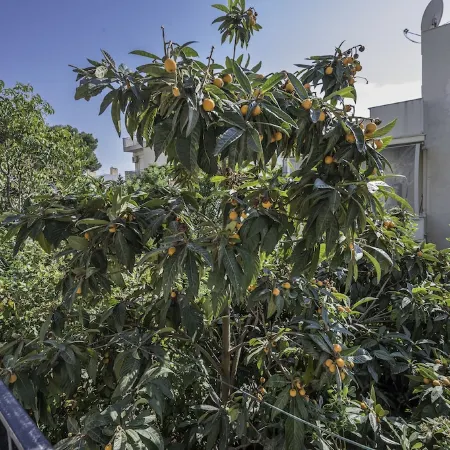 Magnificent Home Athens Voula Отели рядом с достопримечательностью «Пляж Астир»