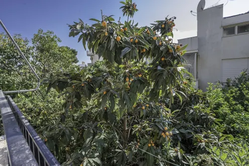 Magnificent Home Athens Voula