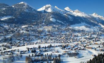 Hotel Central Résidence