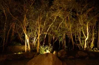 Newly Built Private Inn Onoaida Snapper Rock