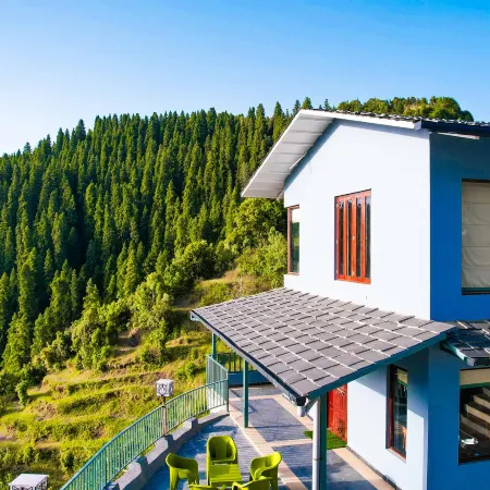 The Himalayan Deodar