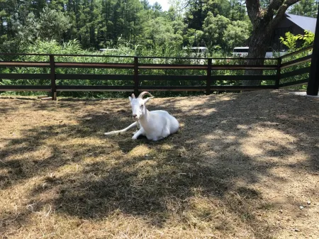 Size Resort Hotel Urabandai Отели в г. Китасиобара