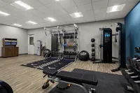Hampton Inn & Suites by Hilton Ruskin I-75 - Gym