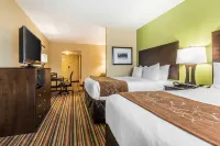 Comfort Suites Jackson I-40