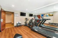 Comfort Inn Monterey Park - Los Angeles Hotels in Monterey Park