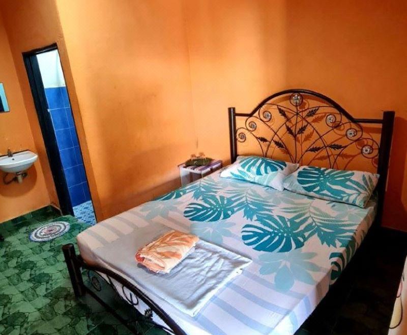 레인보우 로지 정원