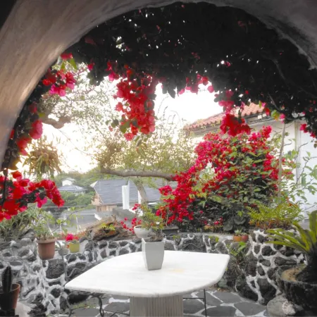 J-Garden