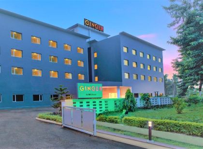Ginger Bhubaneshwar