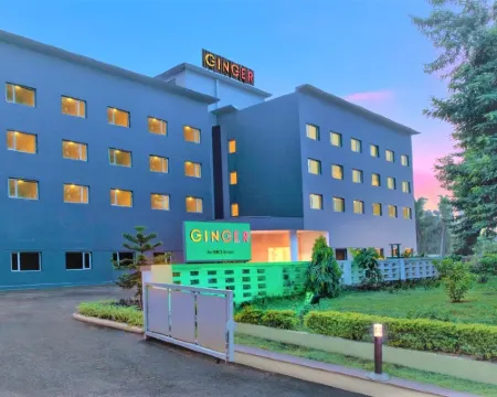 巴布內斯瓦爾生薑酒店 布巴內斯瓦爾酒店